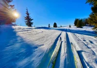 WHO: nowe zalecenia dotyczące codziennej dawki wysiłku fizycznego - zdjęcie główne