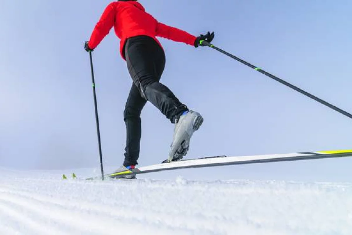 Alpen Cup: występ w Kadrze Narodowej