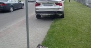 Wjechała w tył - zdjęcie 3