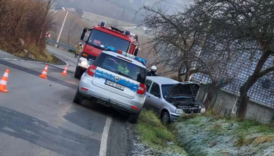 Samochód wypadł z jezdni i wjechał do przydrożnego rowu. Pojazdem podróżowała kobieta z półrocznym niemowlęciem - zdjęcie 1