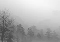 Ostrzeżenie IMiGW: gęste mgły, lokalnie marznące - zdjęcie główne