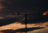 Planowane przerwy - wyłączenia prądu w powiecie limanowskim - zdjęcie główne