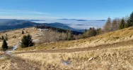 Dziś w dolinach gęste mgły, a górach świeci słońce (zdjęcia i wideo) - zdjęcie 3