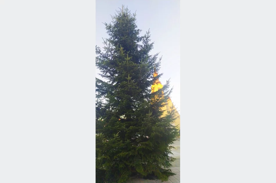 MIASTO STROI SIĘ NA ŚWIĘTA - zdjęcie 8