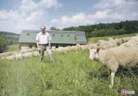 Fenomen Romana Kluski - zdjęcie główne