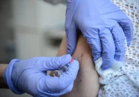 Zespół ds. COVID-19 przy Polskiej Akademii Nauk zabiera głos w sprawie szczepienia - zdjęcie główne