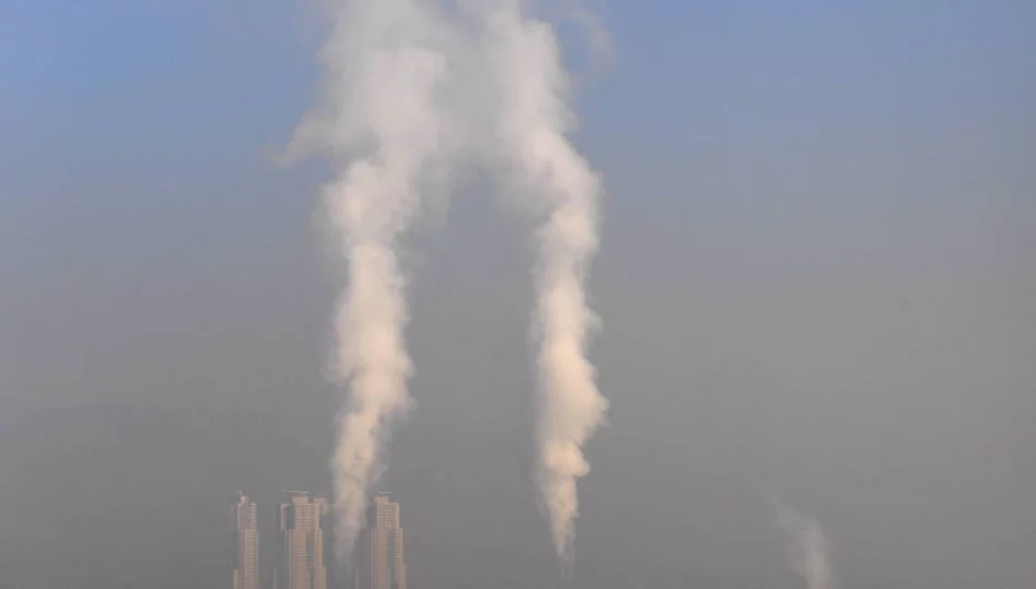 Zanieczyszczone powietrze a zapadalność i śmiertelność na COVID-19 - zdjęcie 1