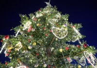 Dzisiejsze dane o COVID w Polsce.  Nowy wariant wirusa - co z lotami z Anglii? - zdjęcie główne