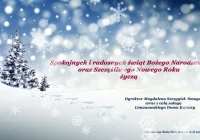 WESOŁYCH ŚWIĄT! - zdjęcie główne