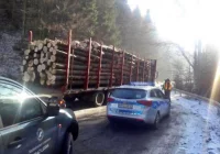 Wspólne działania strażników leśnych i policji - zdjęcie główne