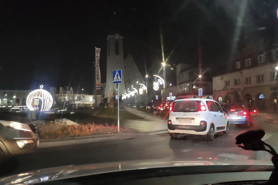 Nietrzeźwy pieszy blokował drogę krajową. Chciał, by kierowcy wezwali policję - zdjęcie 2