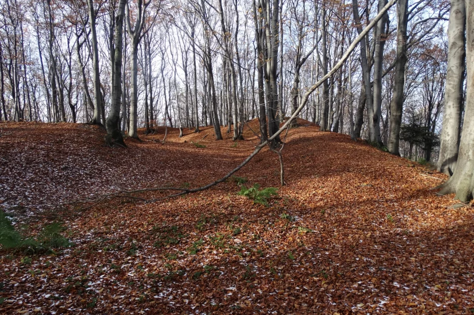 Warownia potężnego księcia Wiślan w Szczyrzycu? - zdjęcie 3