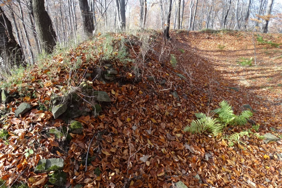 Warownia potężnego księcia Wiślan w Szczyrzycu? - zdjęcie 4