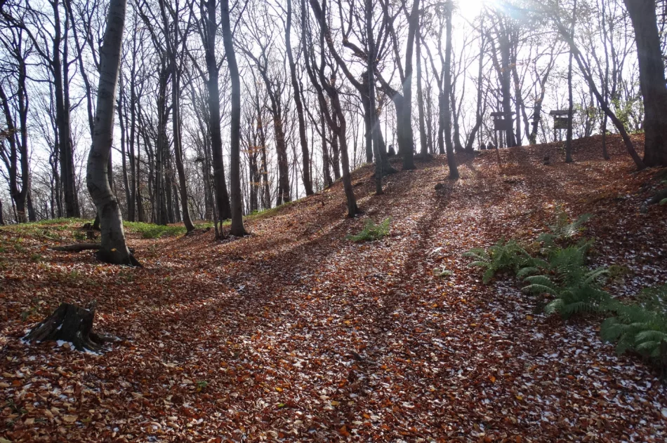 Warownia potężnego księcia Wiślan w Szczyrzycu? - zdjęcie 5