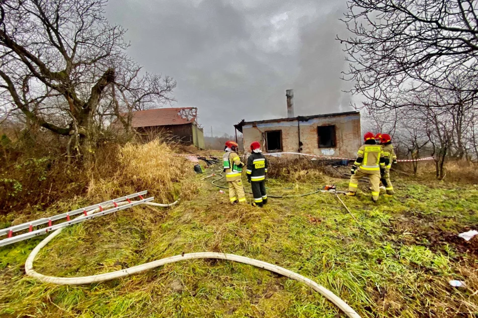 Pożar budynku - w pogorzelisku znaleziono ciało - zdjęcie 3