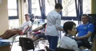 Zebrano blisko 20 litrów krwi! - zdjęcie 3