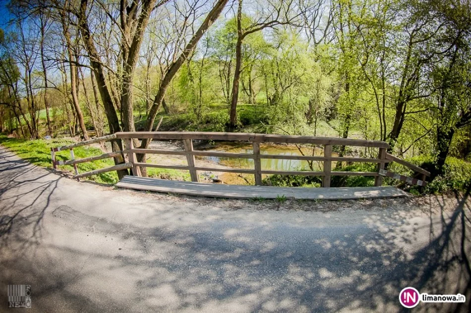 To będzie 'historyczna' inwestycja drogowa. Drewno zastąpi beton - w przyszłości - zdjęcie 3