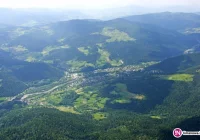 Żądali unieważnienia wyborów, radni wniosek uchylili - zdjęcie główne