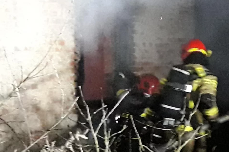 W pożarze zginęła 78-letnia kobieta - zdjęcie 7