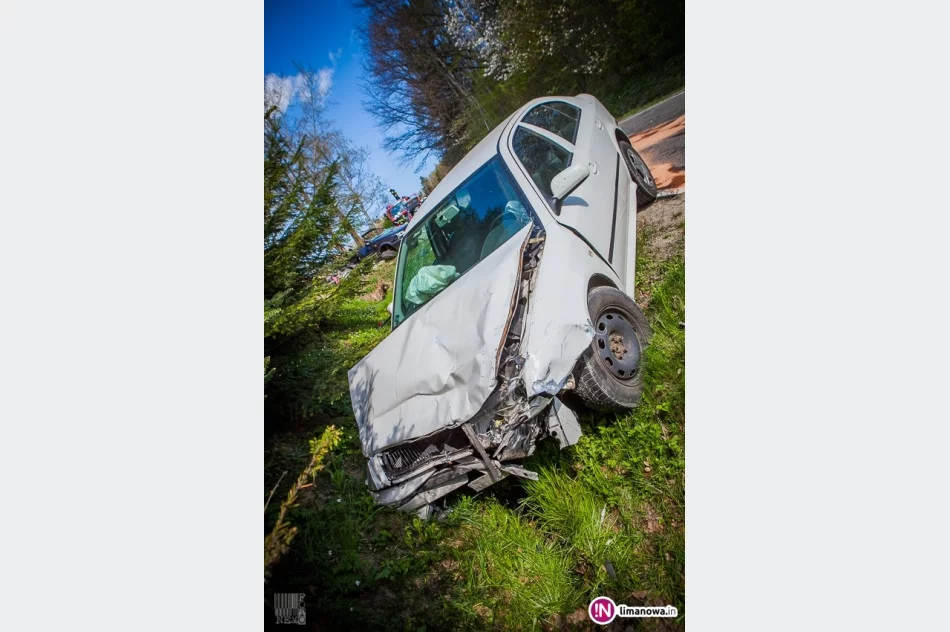 Nadmierna prędkość młodego kierowcy przyczyną wypadku? - zdjęcie 2