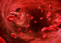 Oddaj krew z policjantami i uratuj życie - zdjęcie główne