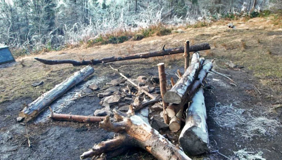 Zlikwidowano "dzikie" ławki i miejsca ogniskowe na terenie rezerwatu - zdjęcie 1