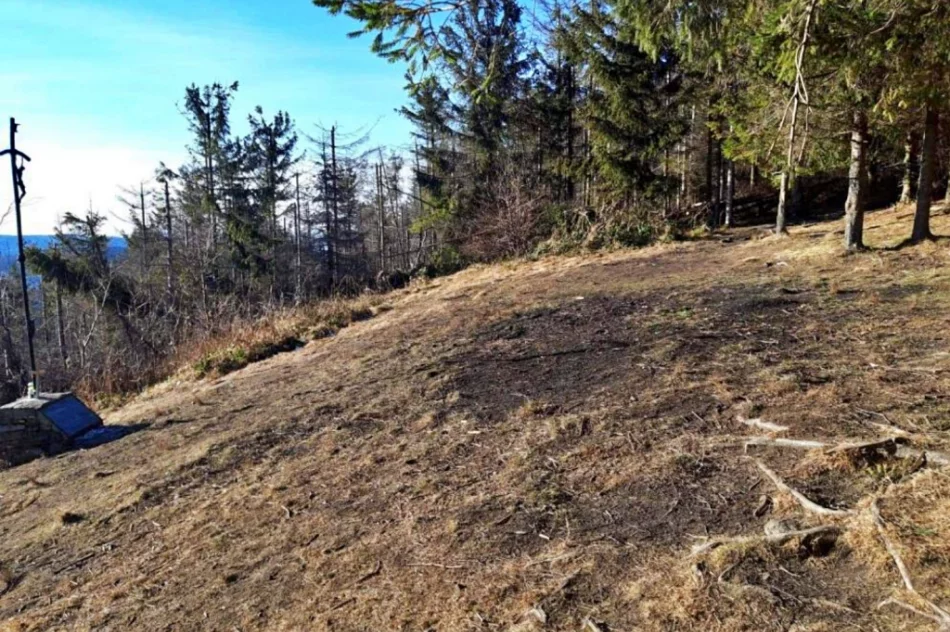 Zlikwidowano "dzikie" ławki i miejsca ogniskowe na terenie rezerwatu - zdjęcie 2