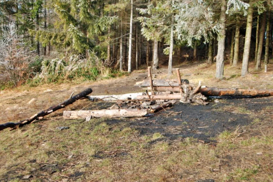 Zlikwidowano "dzikie" ławki i miejsca ogniskowe na terenie rezerwatu - zdjęcie 3