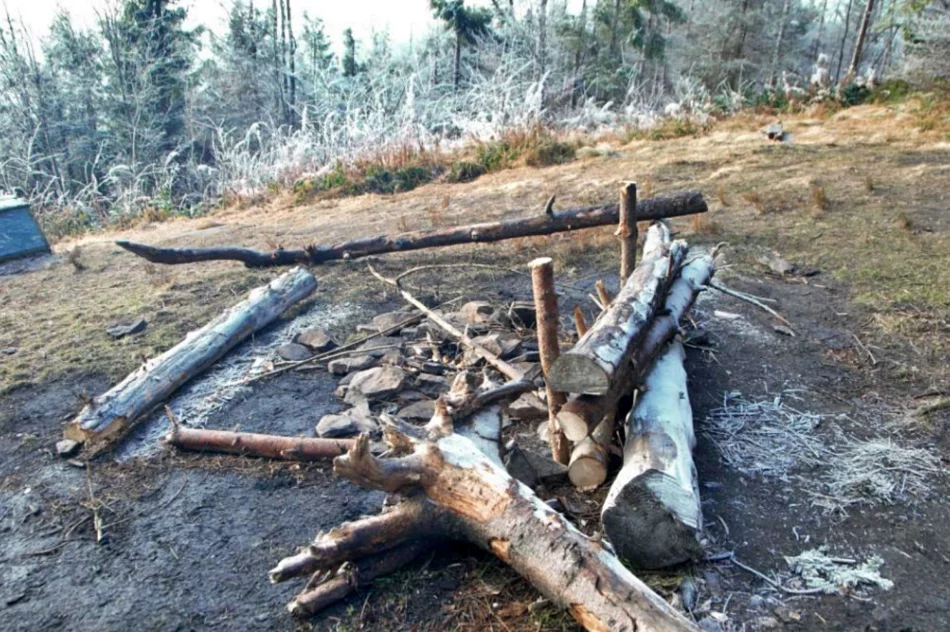 Zlikwidowano "dzikie" ławki i miejsca ogniskowe na terenie rezerwatu - zdjęcie 4
