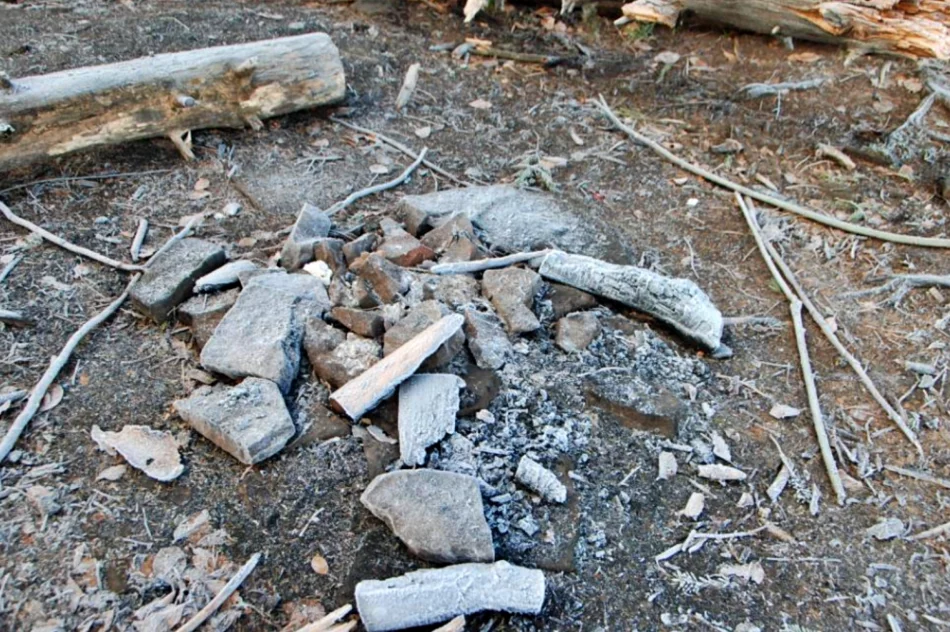 Zlikwidowano "dzikie" ławki i miejsca ogniskowe na terenie rezerwatu - zdjęcie 5