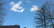 Poważny wypadek - są ranni, wezwano LPR - zdjęcie 3