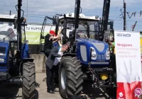 Ceny sadzonek spadły o 50 procent - zdjęcie główne