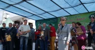 Ceny sadzonek spadły o 50 procent - zdjęcie 2