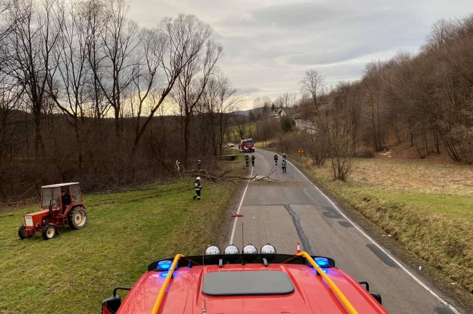 Skutki silnego wiatru - kilka uszkodzonych dachów, kilkanaście powalonych drzew - zdjęcie 2