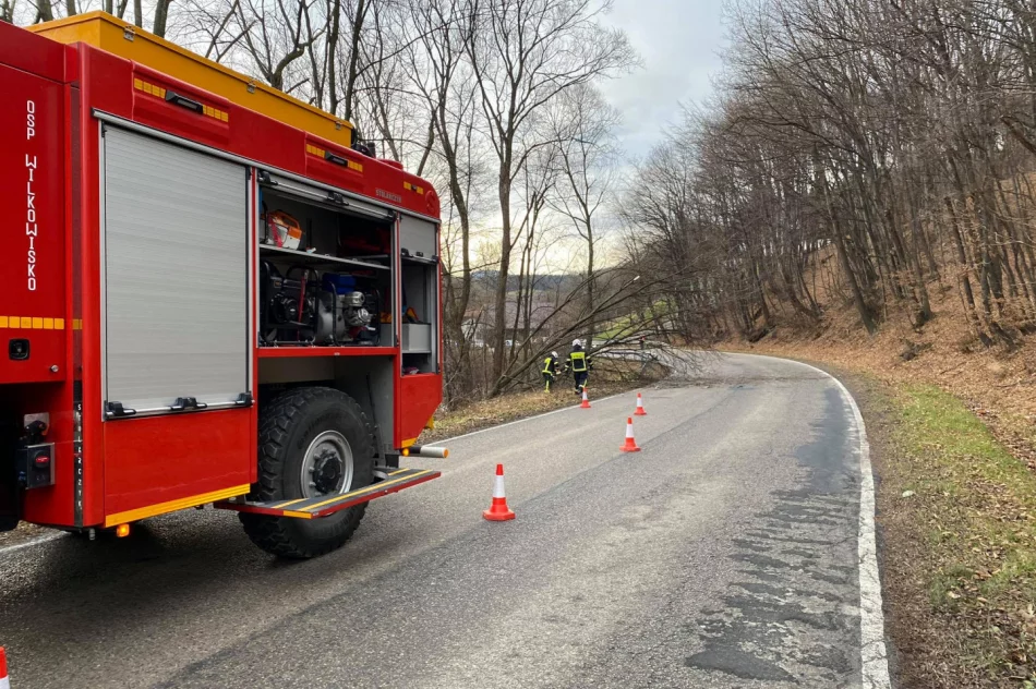 Skutki silnego wiatru - kilka uszkodzonych dachów, kilkanaście powalonych drzew - zdjęcie 3
