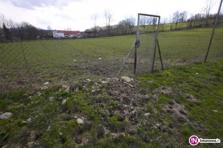 Wyceniono straty 'wtargnięcia' bydła na boisko - to aż 70 tys. zł - zdjęcie 2