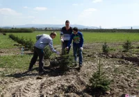 W Świniarsku posadzono dziś 150 drzew - zdjęcie główne