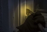 Seria włamań do domów. Złodzieje kradną gotówkę i biżuterię - zdjęcie główne