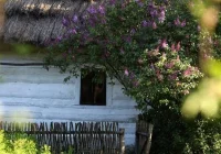 Otwarcie sezonu w sądeckim skansenie - zdjęcie główne