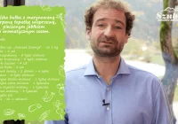 Mikołaj Rey przedstawia nowy przepis - zdjęcie główne