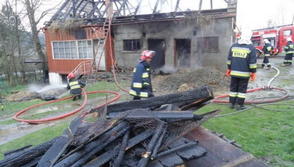 Spłonął budynek gospodarczych - pożar gasiło 40 strażaków - zdjęcie 1