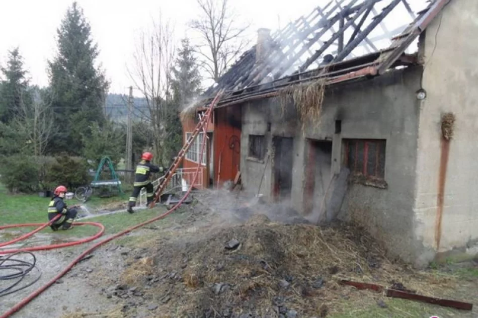 Spłonął budynek gospodarczych - pożar gasiło 40 strażaków - zdjęcie 4