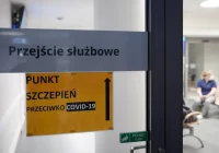 "Mistrzostwo ściemy i kamuflażu" - zdjęcie główne