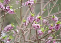 Całe piękno w jednym miejscu - zdjęcie główne