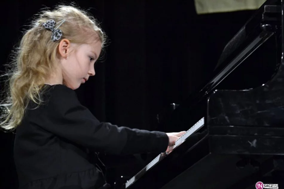 Instrumentaliści na scenie - zdjęcie 3