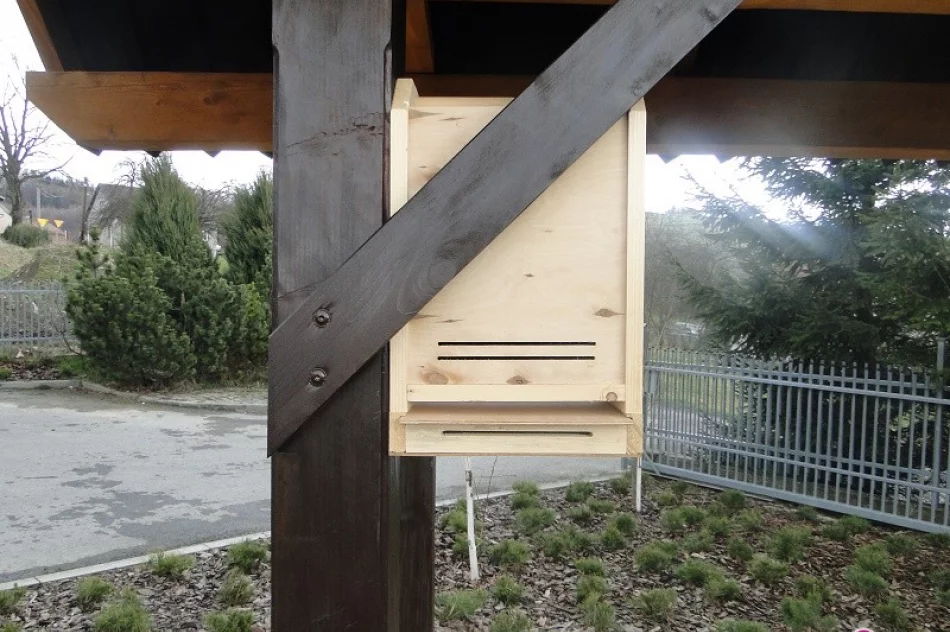 Są mistrzami w... zapylaniu - zdjęcie 2