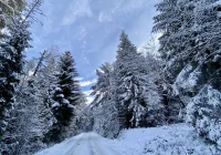 Synoptyk IMGW: w sobotę słabe opady deszczu, śniegu i mieszane - zdjęcie główne