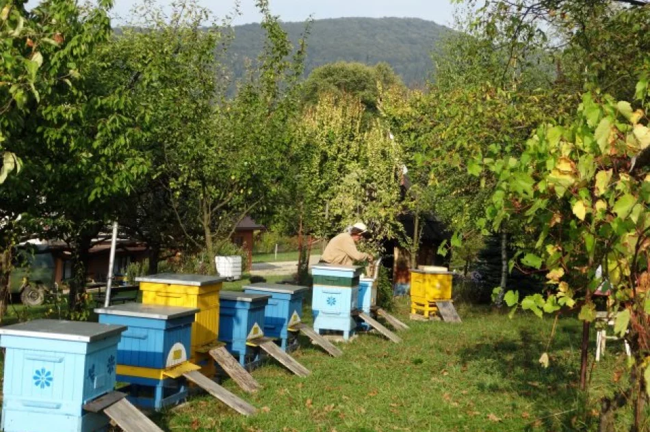 Agroturystyka "U Krystyny" z Sowlin oznaczona słoneczkiem w kat. Wypoczynek u rolnika - zdjęcie 2