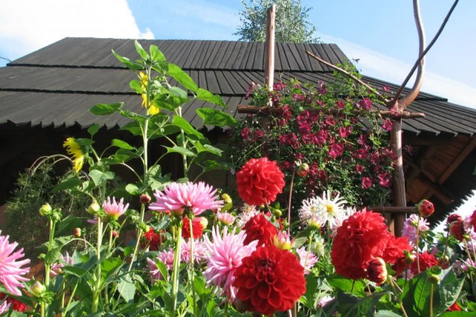 Agroturystyka "U Krystyny" z Sowlin oznaczona słoneczkiem w kat. Wypoczynek u rolnika - zdjęcie 4