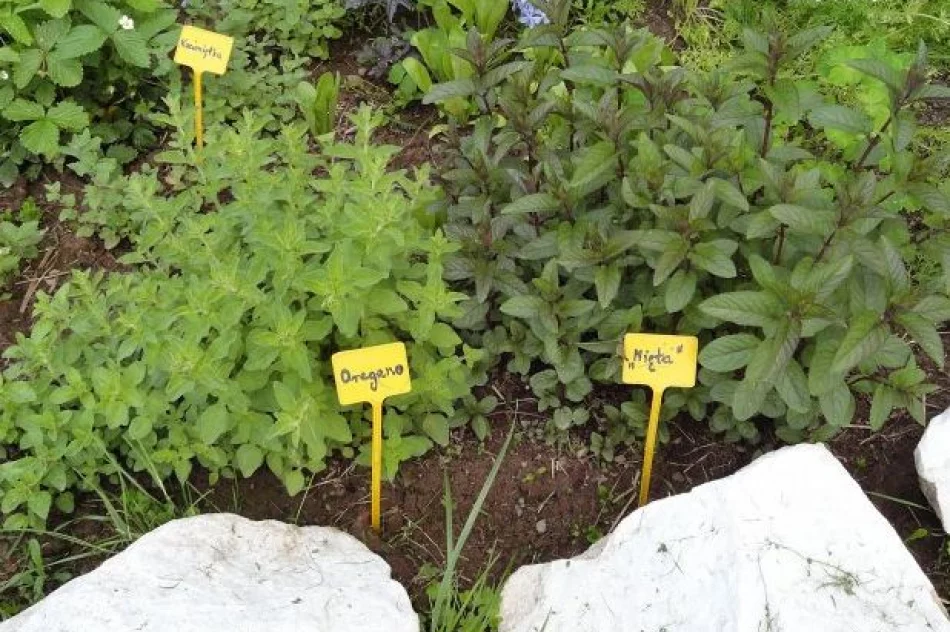 Agroturystyka "U Krystyny" z Sowlin oznaczona słoneczkiem w kat. Wypoczynek u rolnika - zdjęcie 9